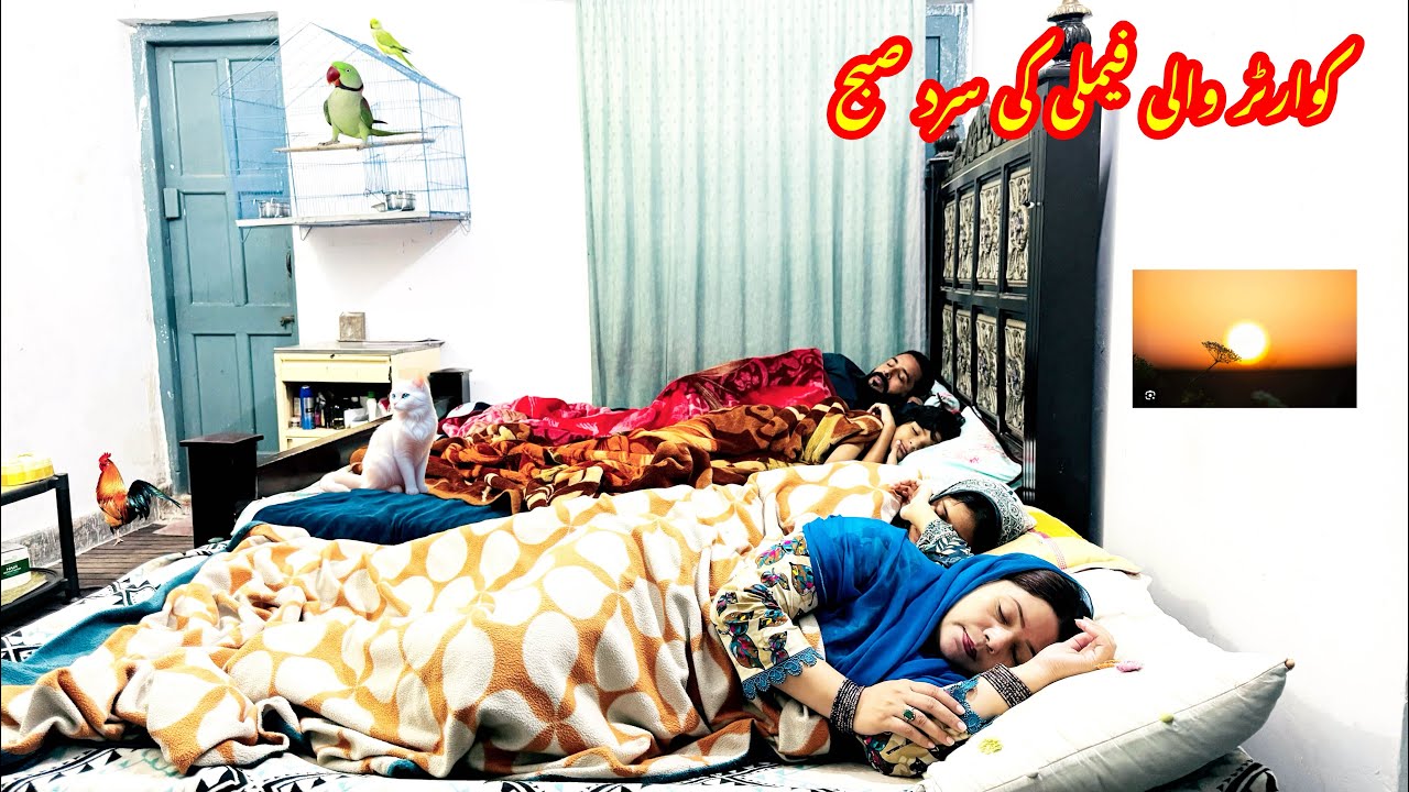 Early Morning Routine|Sardiyon Ki Subha|Quarter Wali Family k Desi Nashta|Egg Paratha With Tea|