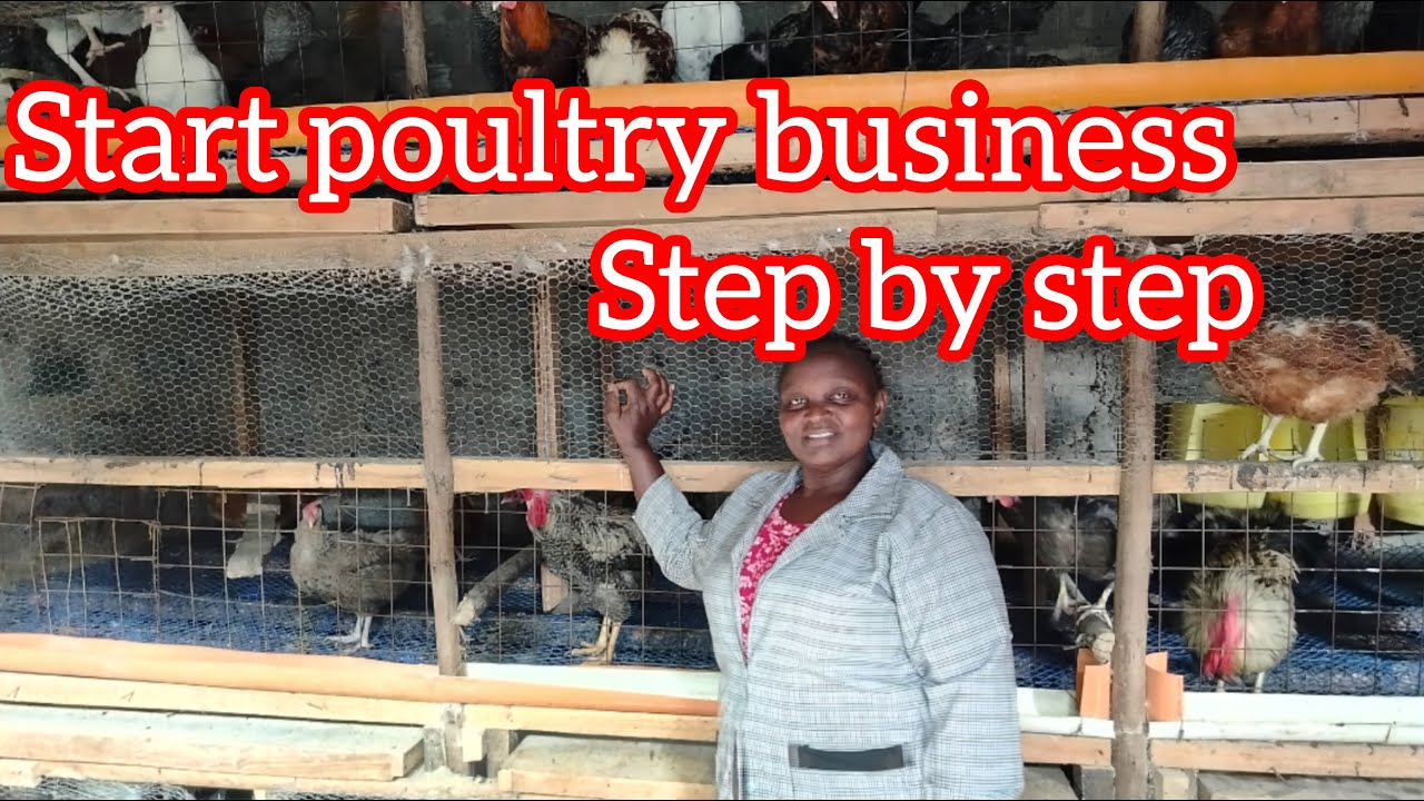 How to start poultry farm business for beginners /how many birds to start with #poultrybusiness