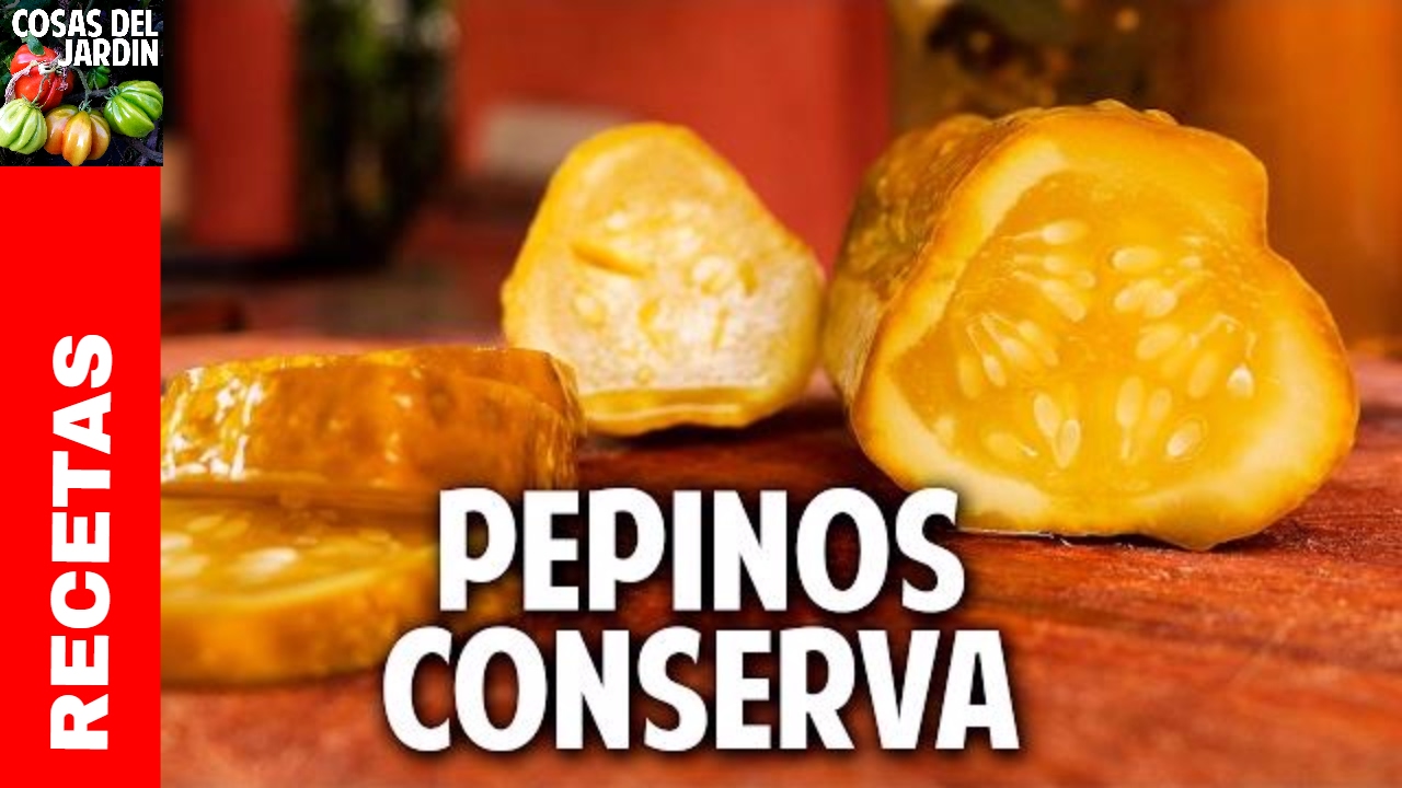 Cómo hacer Pepinos en conserva con fermentación natural, facil y saludable  @cosasdeljardin