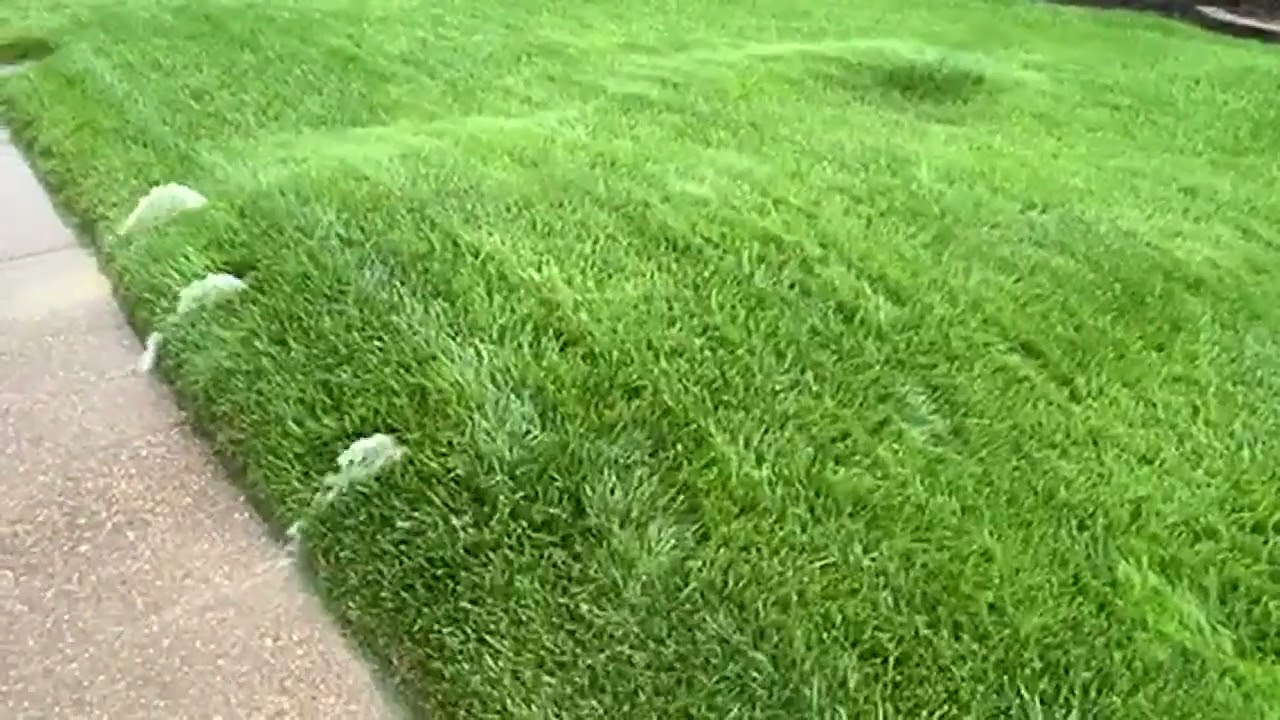 Newburgh homeowner releases water trapped under lawn