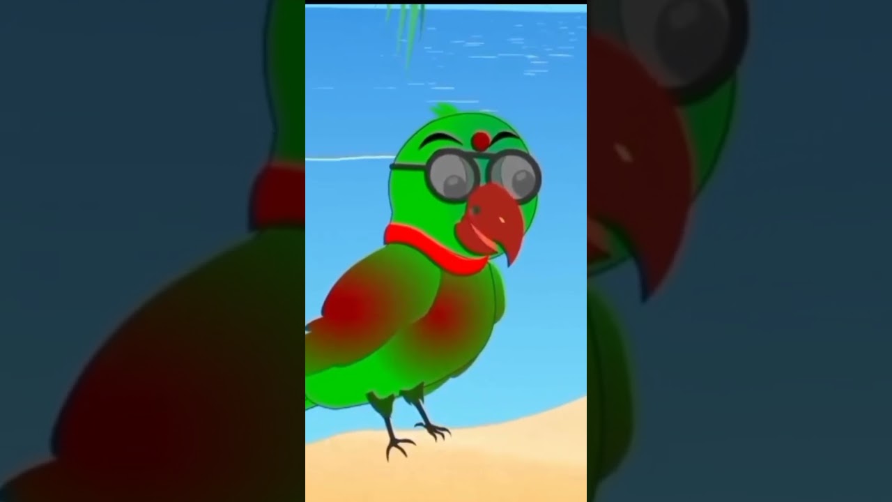 Birds story best scene |yarootoon channel|