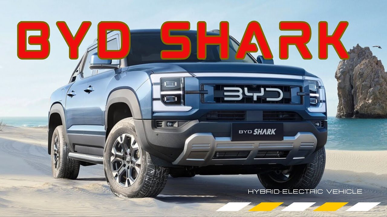 BYDShark