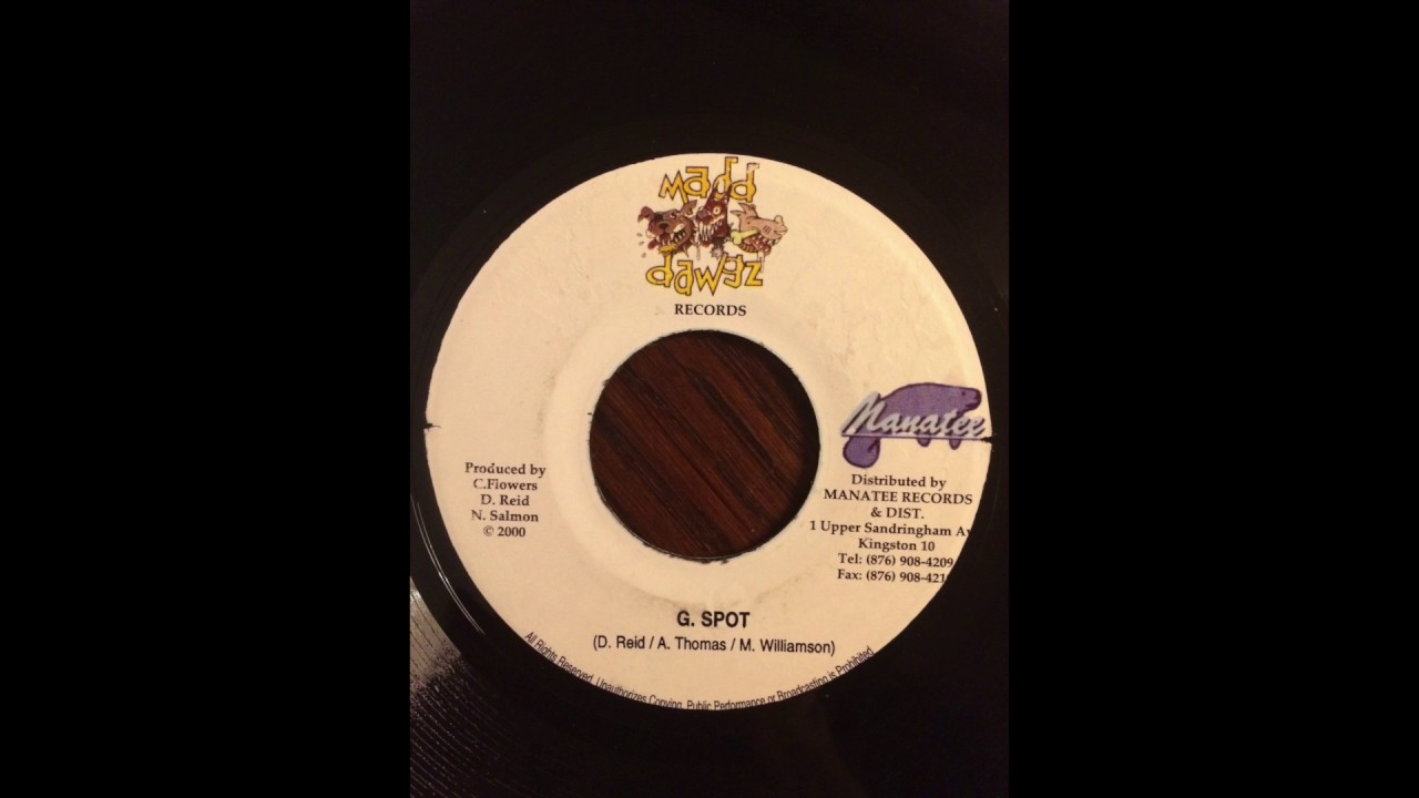 G. Spot Riddim Mix (Madd Dawgz Records, 2000)