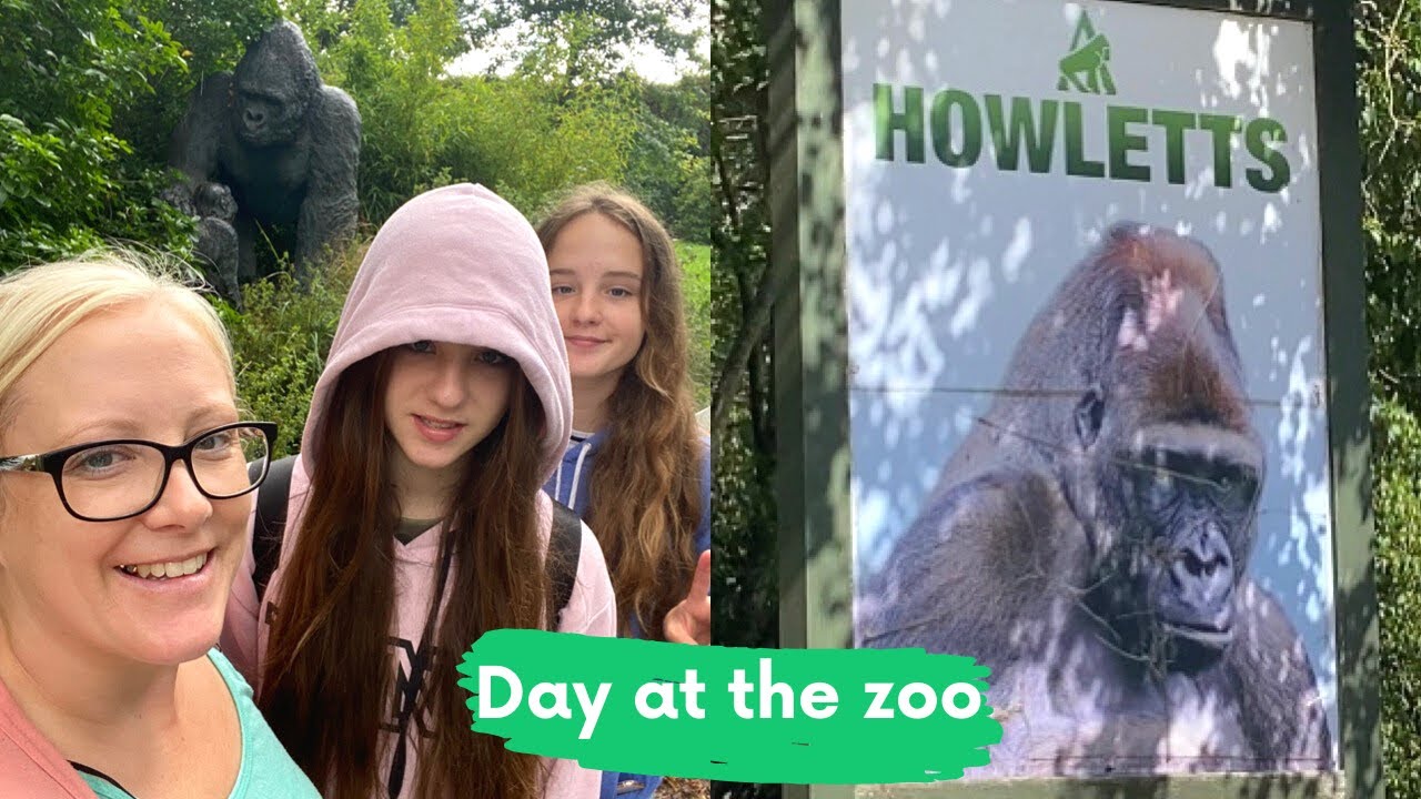 Day out at Howletts Animal Park Kent