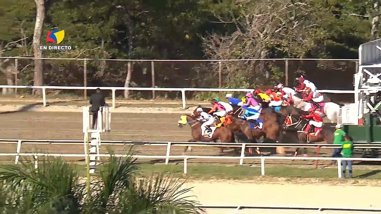 8ª. carrera | 2ª. válida | FREITES PE | Hipódromo La Rinconada | Reunión 47 | 2025
