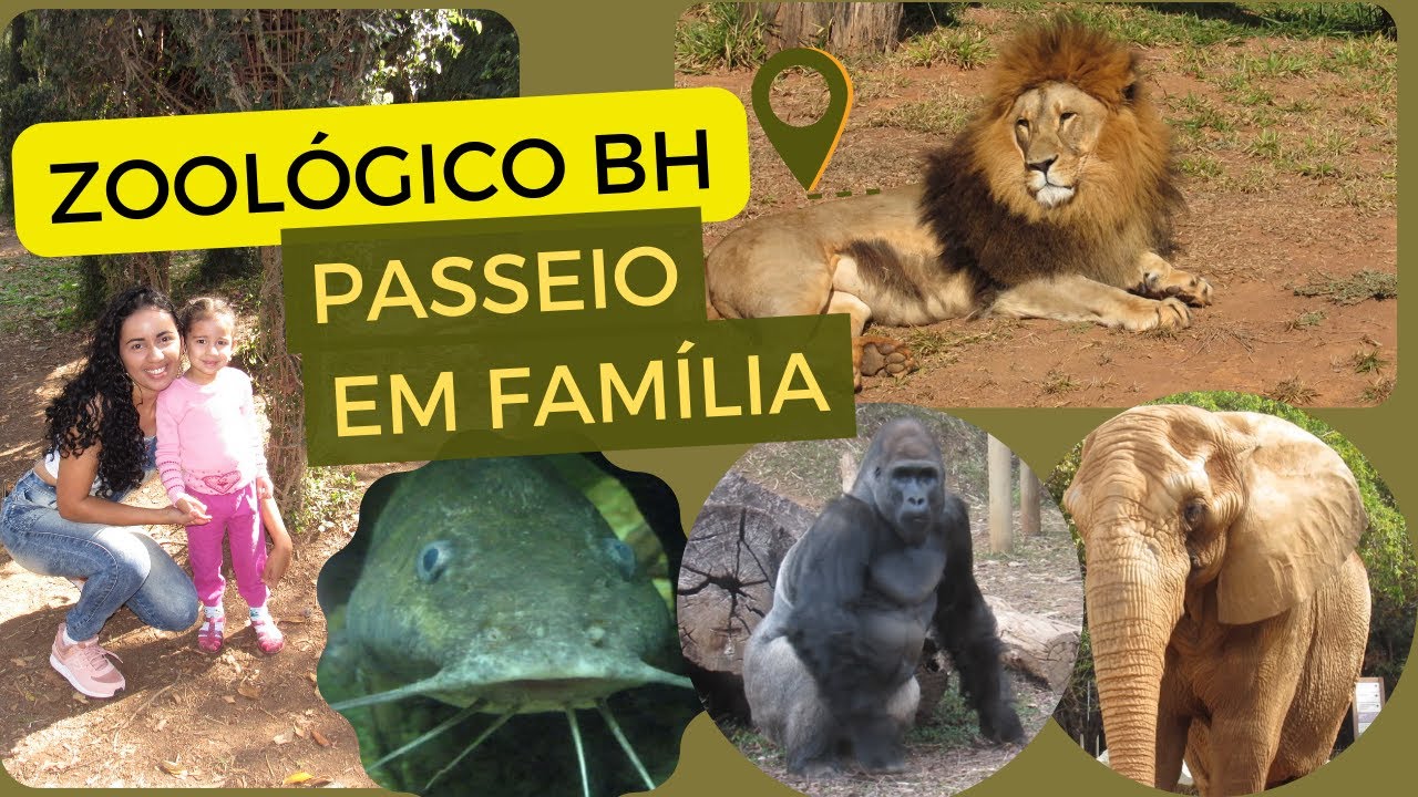 Zoológico de Belo Horizonte - Iolanda Nathalia  2022