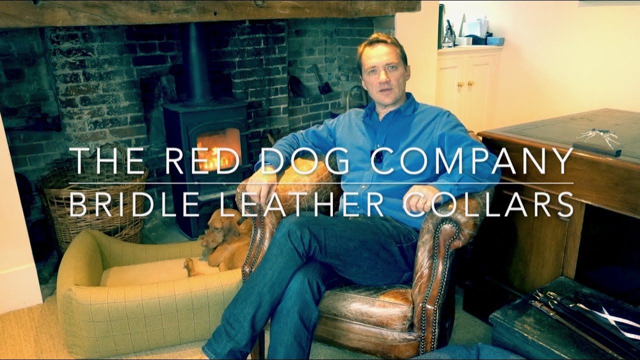The Red Dog Company - Collars   HD 1080p