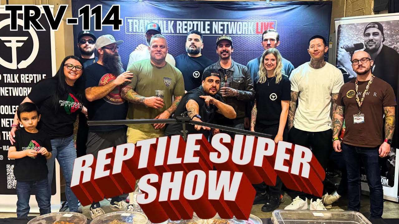 REPTILE SUPER SHOW WALKTHROUGH POMONA CALIFORNIA JANUARY 2025 | TRV-114