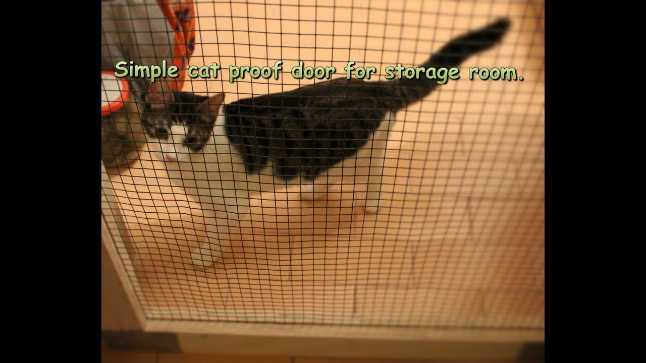 Making simple ventilated (cat proof) door for storage room.