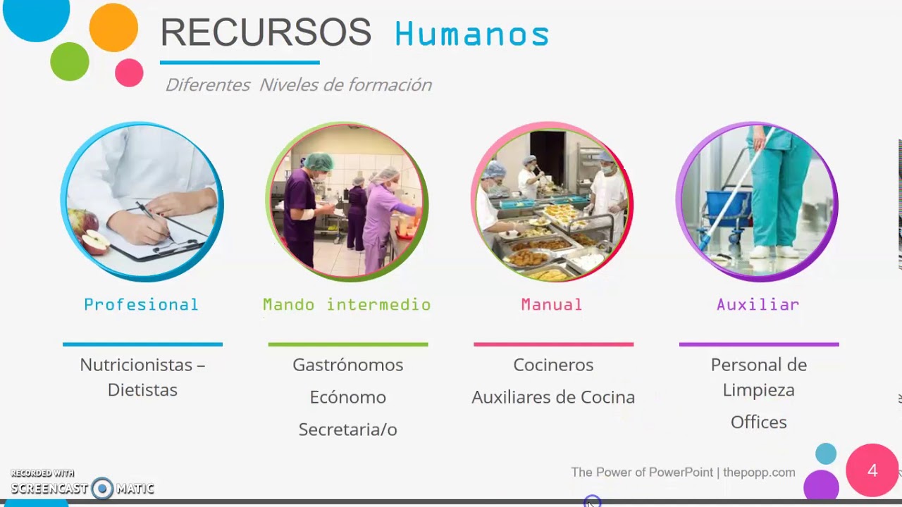 Organización de un Servicio de Alimentación