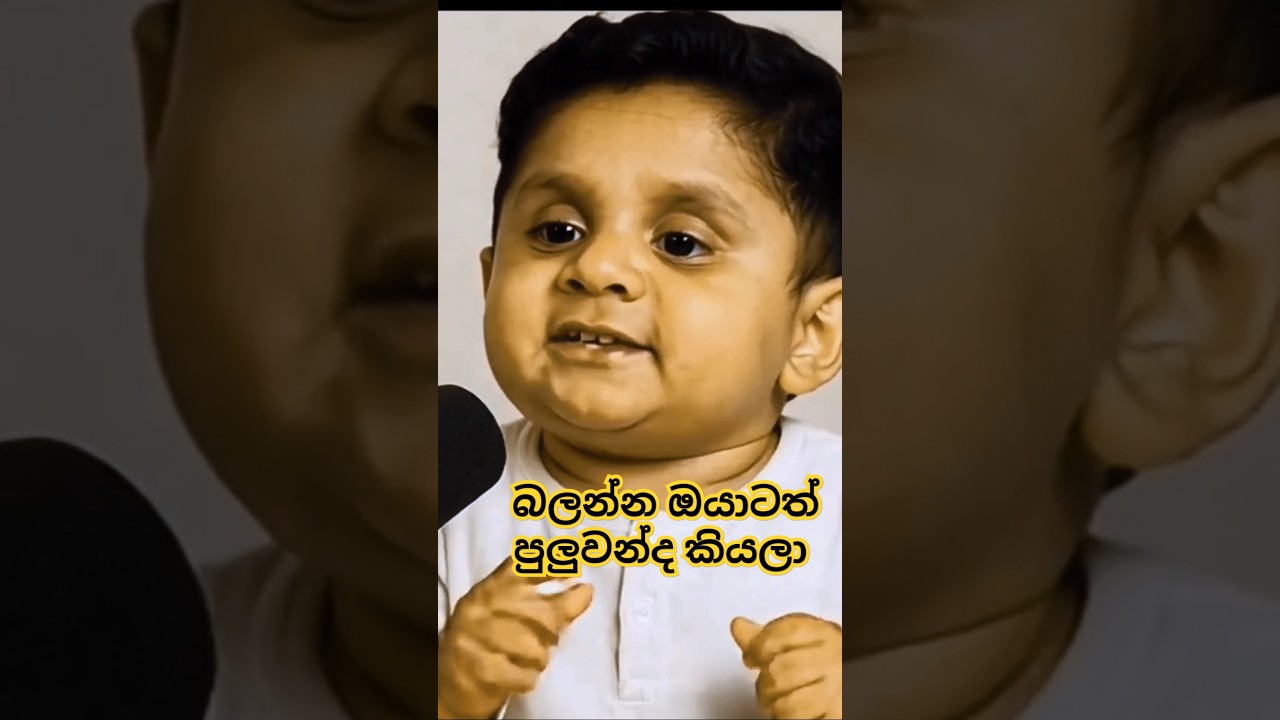 Ai Talking Baby🙌 japan🇯🇵 Lesson Ai Video podcast Sinhala in 2025