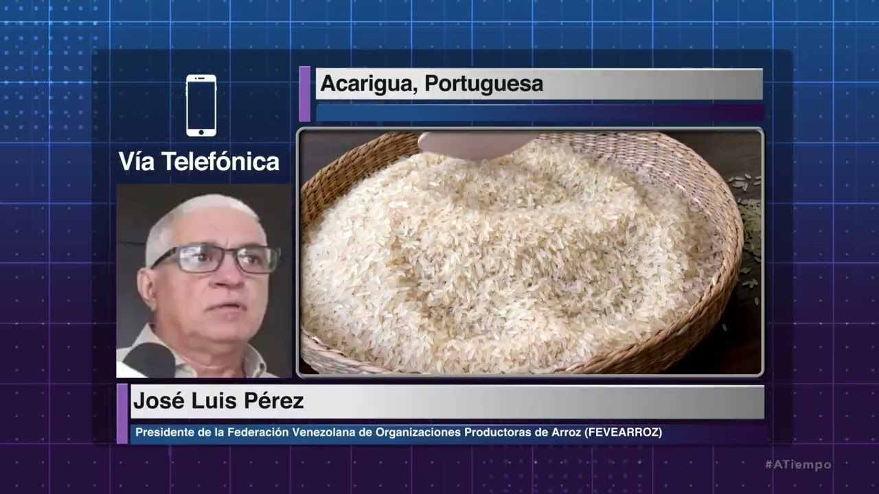 Productores de arroz piden créditos e inversión para potenciar el sector