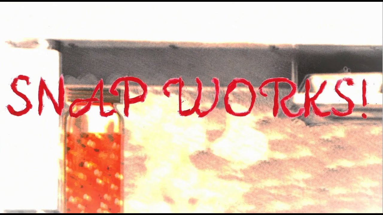SNAP Works!