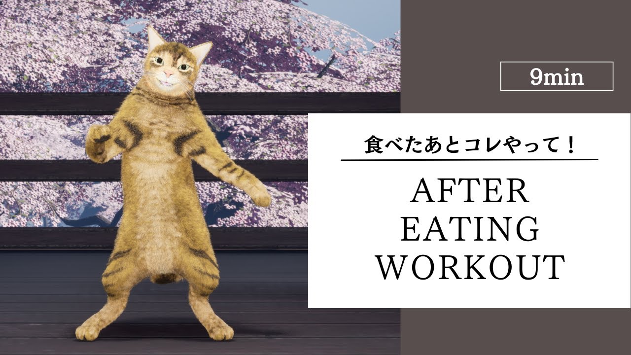 食べたあとはコレ！9分ゆる猫ダンスで消化をお助け＆血糖値対策も😸