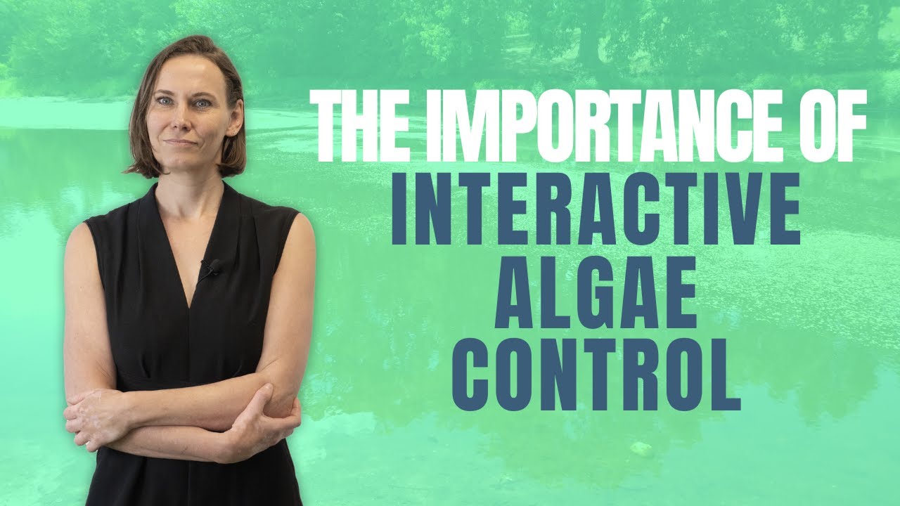 How Interactive Algae Control Technology Prevents Harmful Algal Blooms