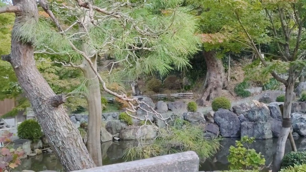 Garden at Myo-Ho-In (妙法院 - みょうほういん) in Kyoto