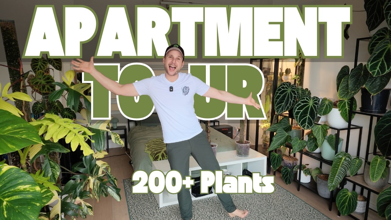 Rental Apartment turned Urban Jungle - Full Apartment & Plant Tour