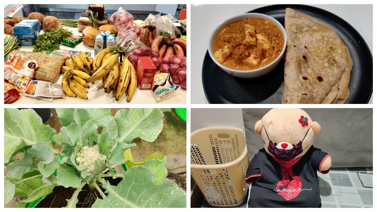 Returning from erode/You all have a surprise inside/Huge grocery shopping after trip/Paneer gravy