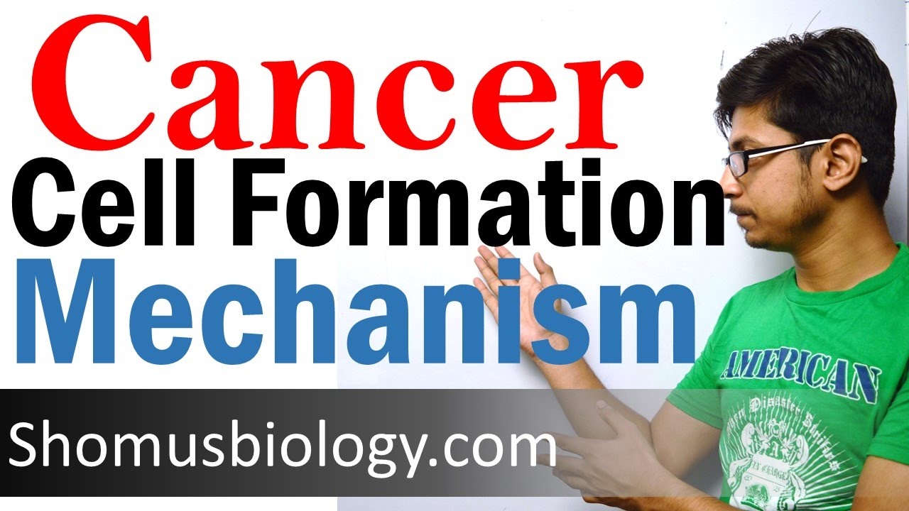 Cancer cell formation
