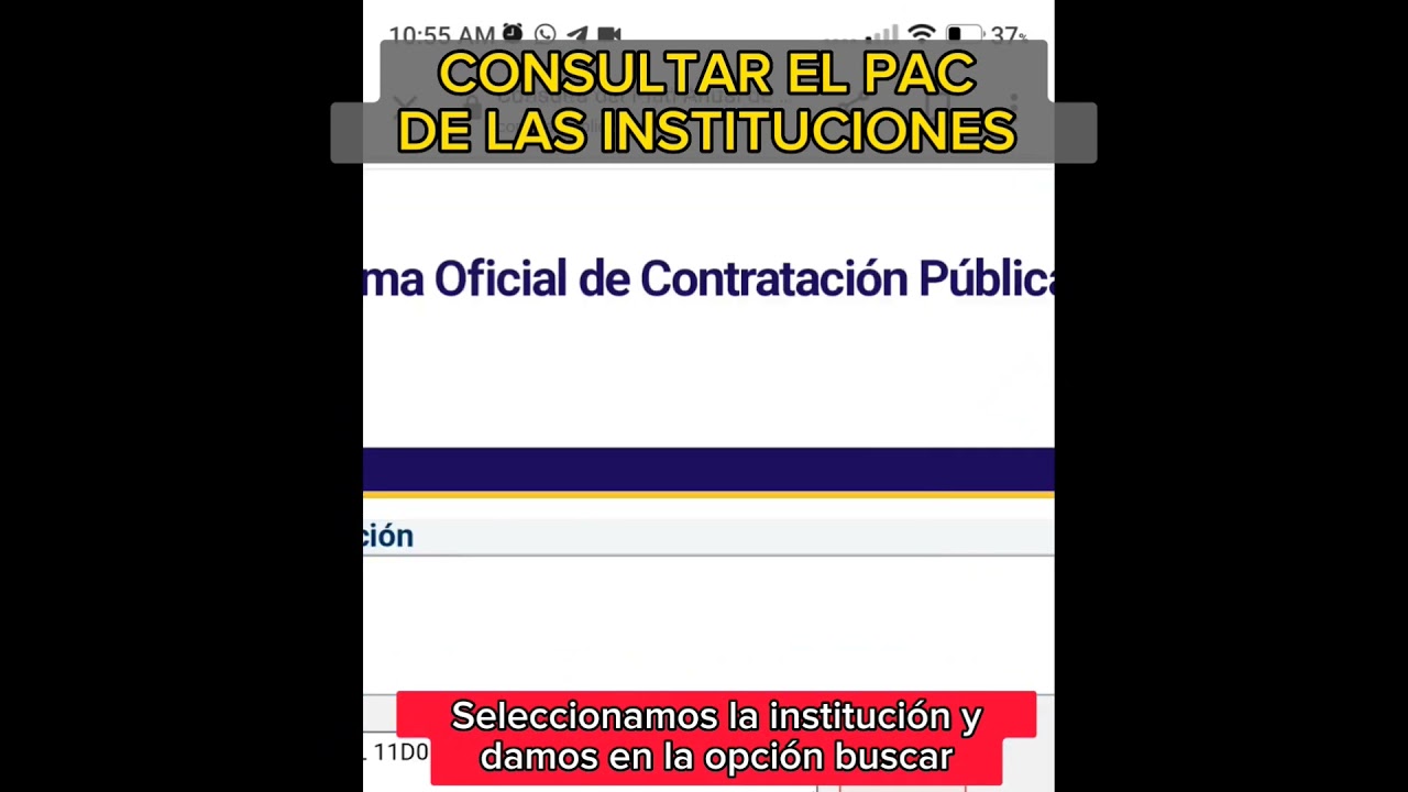 Consulta de PAC - Sercop