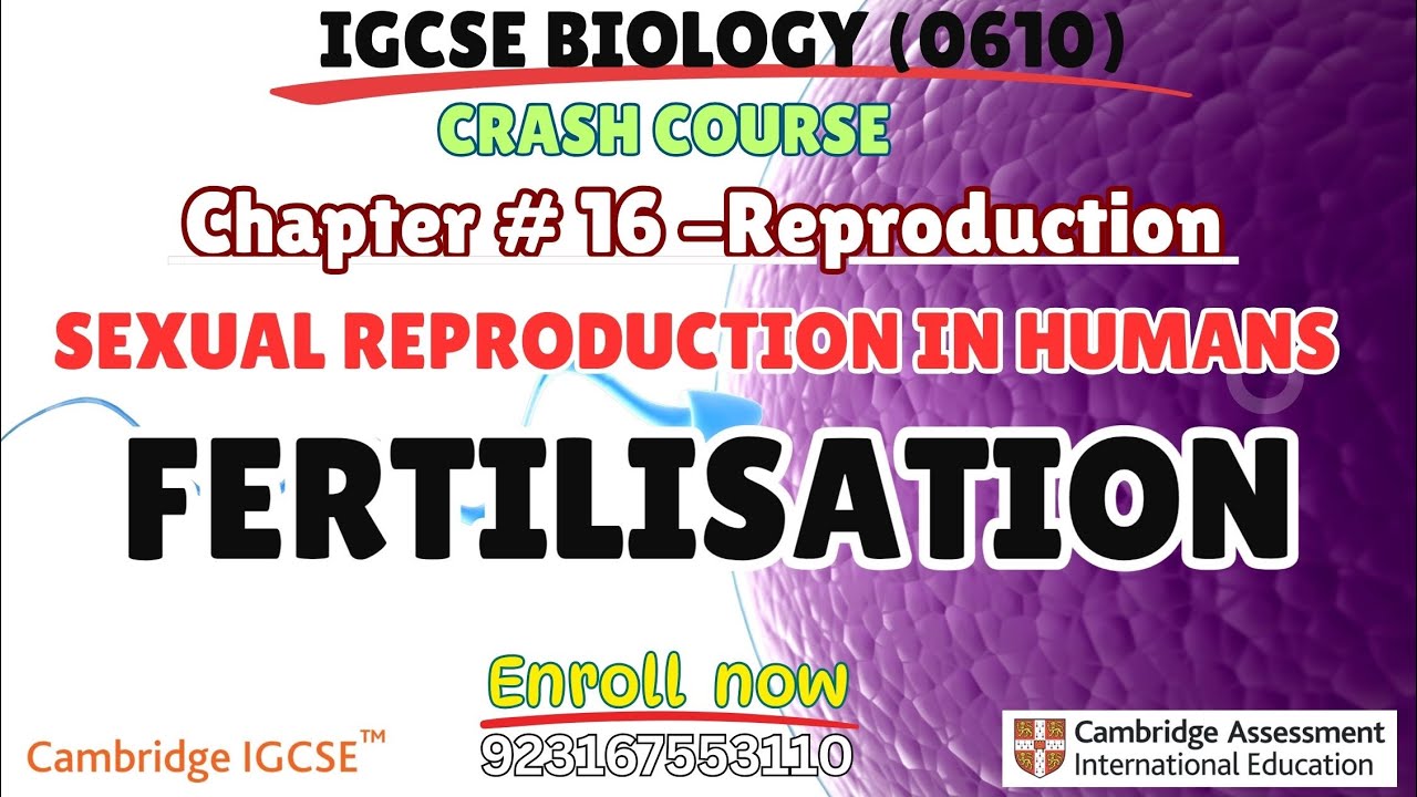 IGCSE Biology|Chapter #16-Fertilisation 