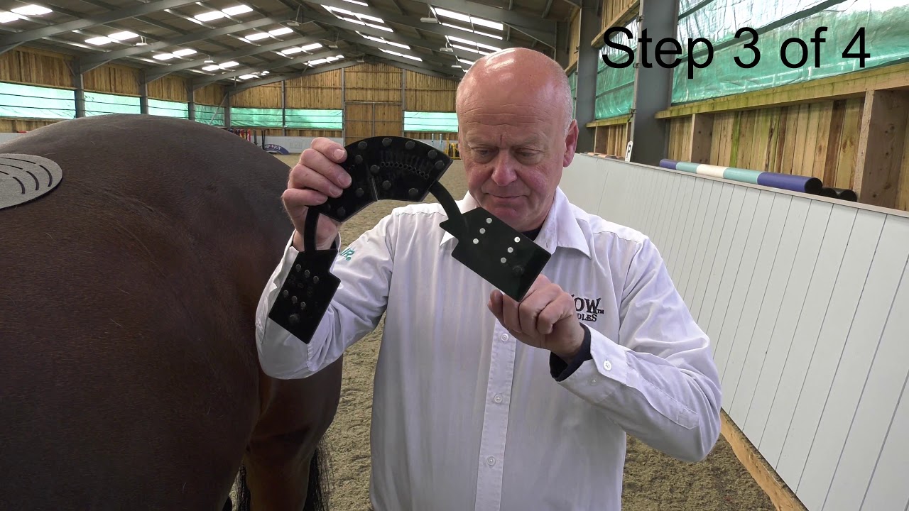 WOW Saddles Gauge 2020