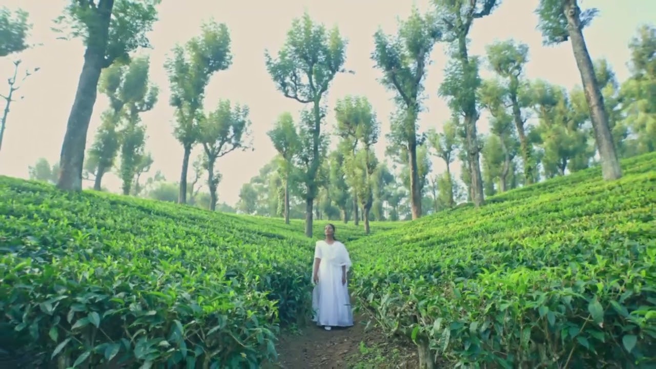என் கிருபை உனக்கு போதும் #புதிய பாடல் 
