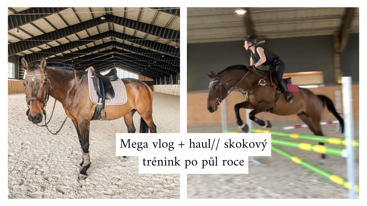 Mega vlog + haul//skokový trénink po půl roce