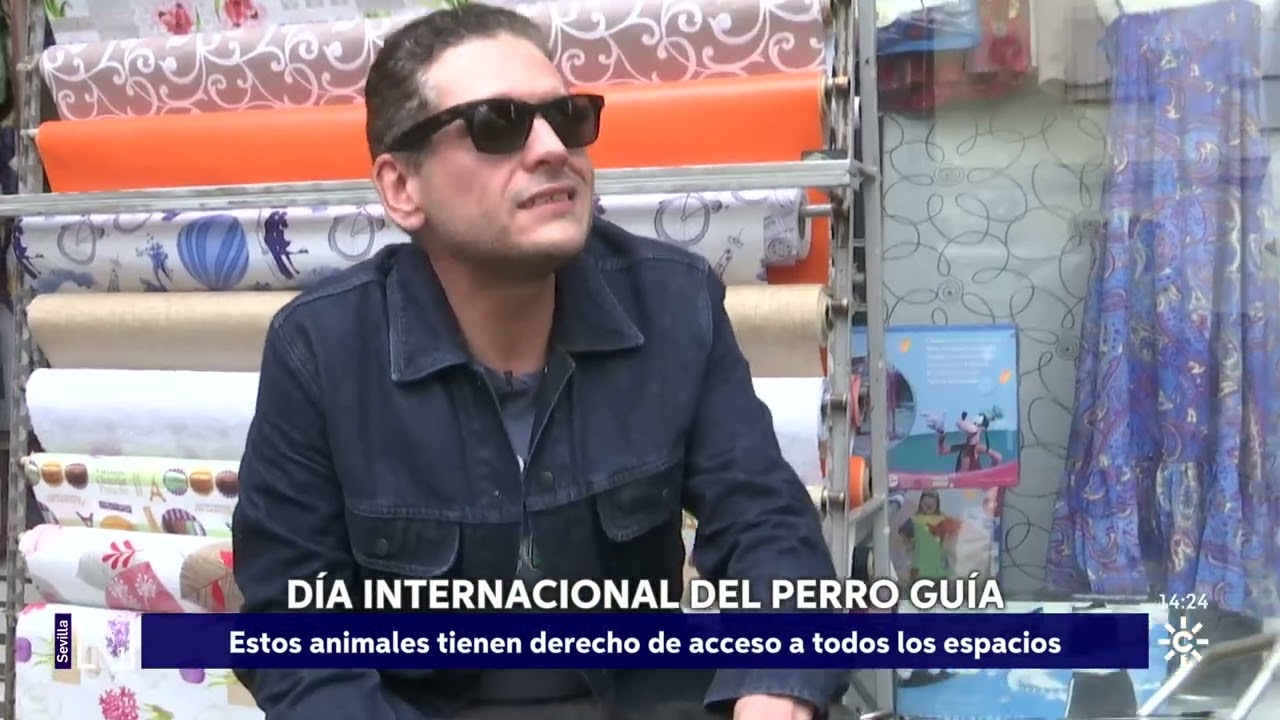 participación en canal Sur por el día internacional del Perro Guia 2025￼