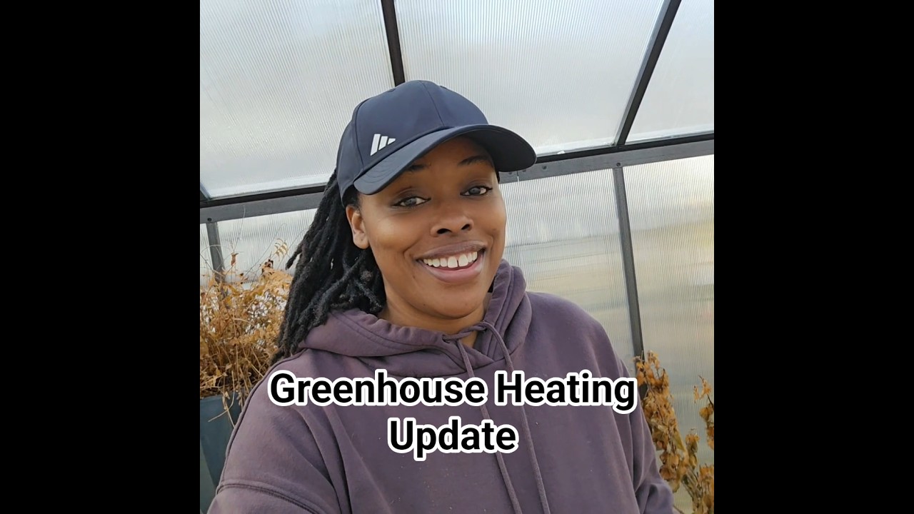 Did it work? Greenhouse heating setup update!