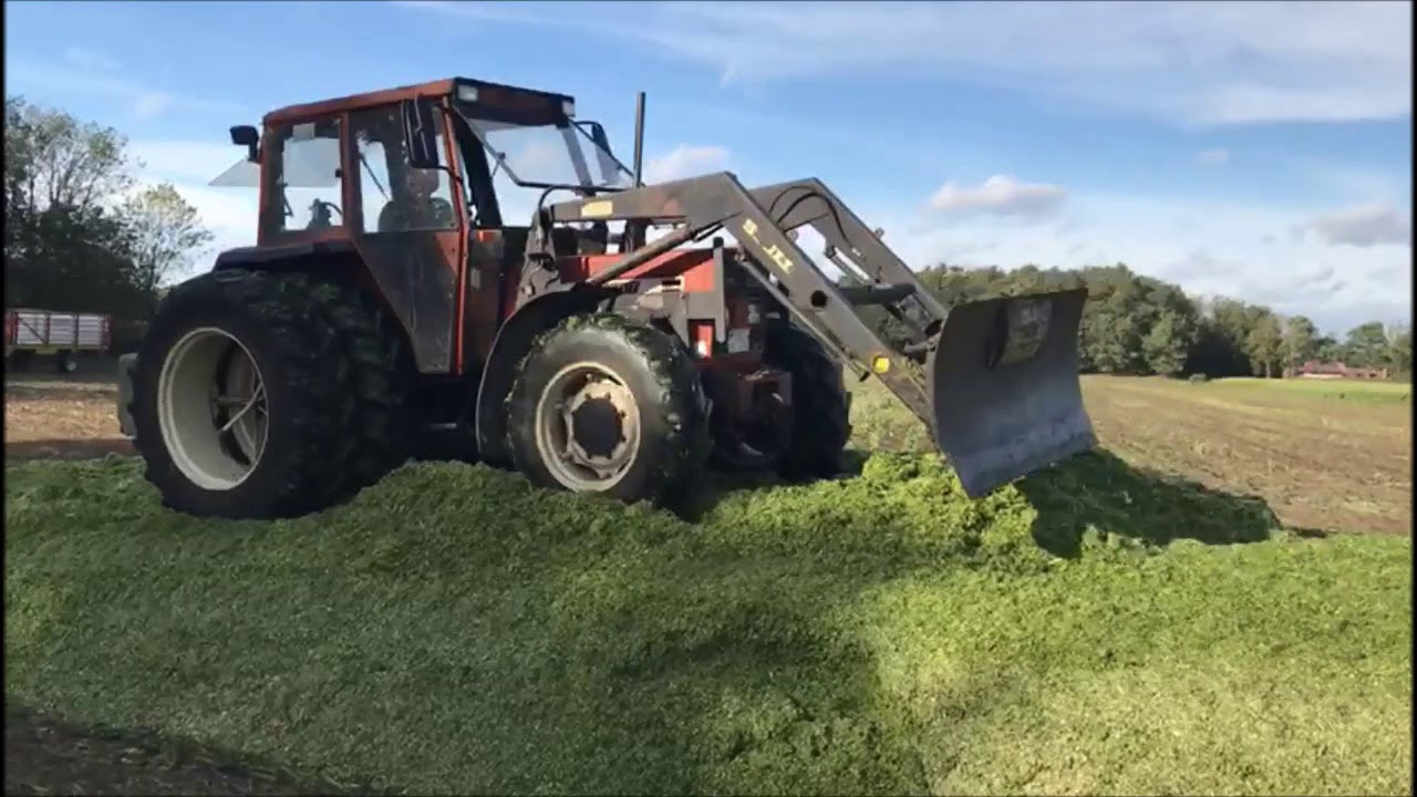 Dalvers Oldtimerh&auml;ckseln 26.10.2019