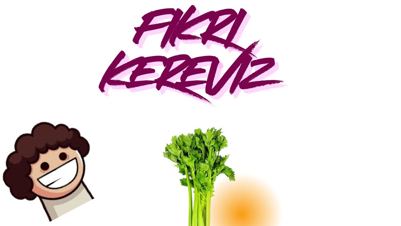 Fikri Kereviz ||ELEŞTİRİ||