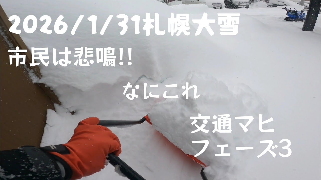 2026.1.31札幌大雪!!ついにフェーズ3発動!!