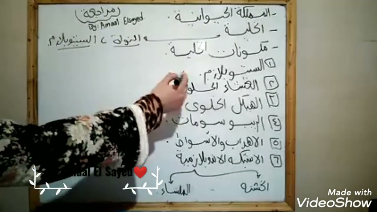 مراجعة علي بيولوجي حيوان اساسي علوم وتربية عام#facebook #shorts #subscribe  #study #lesson ##science