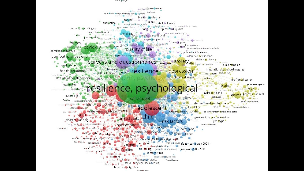 Uso de VOSviewer para construir y visualizar redes bibliométricas