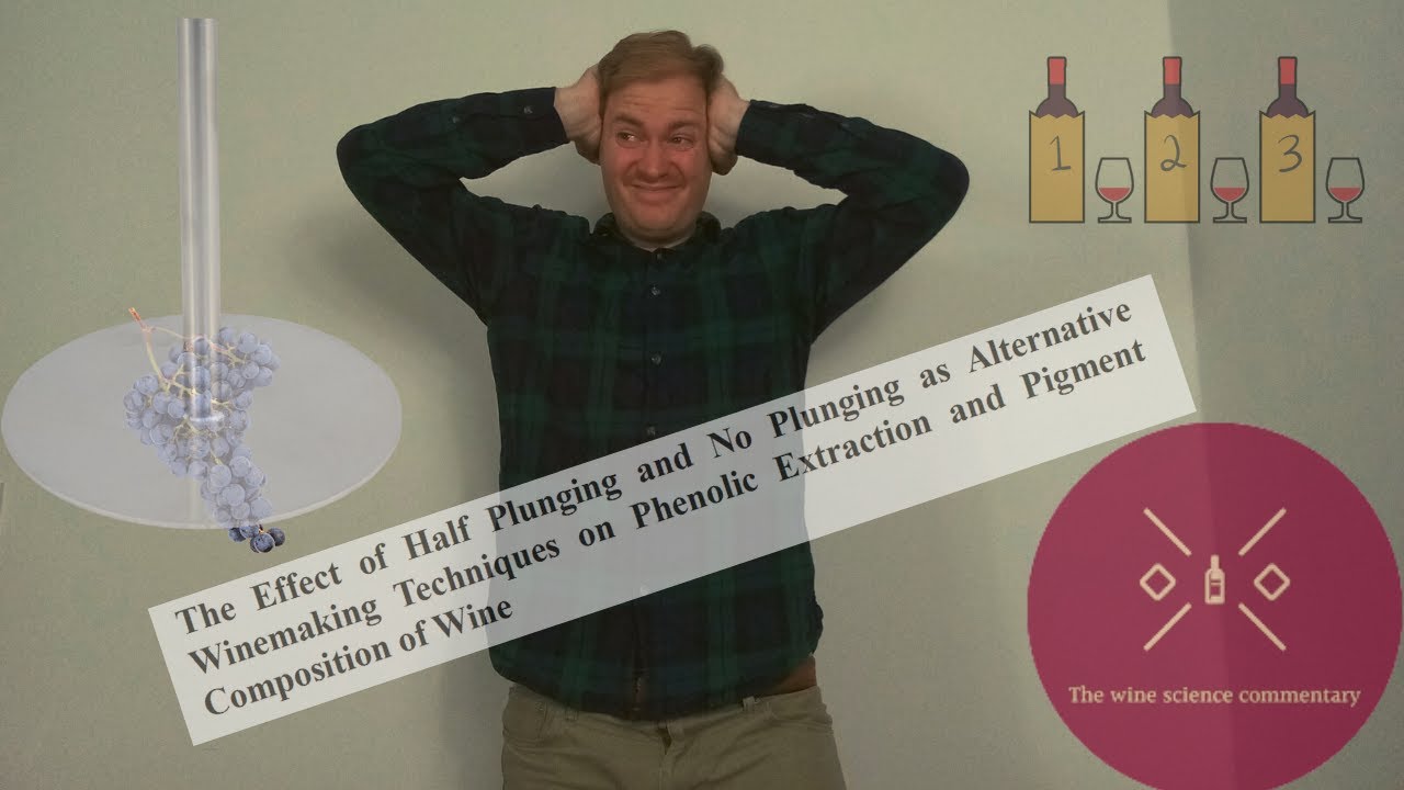 The effect of punch down frequencies on wine chemistry - how much punch downs are necessary?