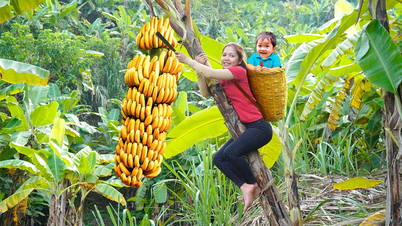 Mãe e Filha Colhendo Bananas No Jardim Vender No Mercado,A Mãe Alimenta Sua Filha Com Carne Moída