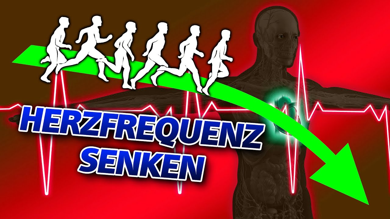 PULS RUNTER - Herzfrequenz senken beim Laufen (Joggen)