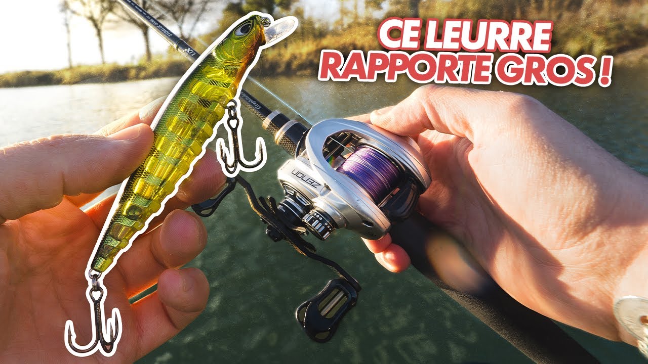 Ce leurre est oublié de la plus part des pêcheurs ! Et pourtant …