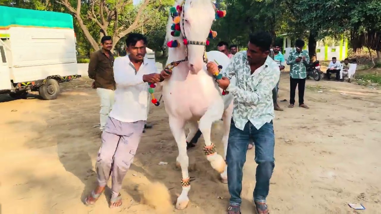 માંણકી❣️…..