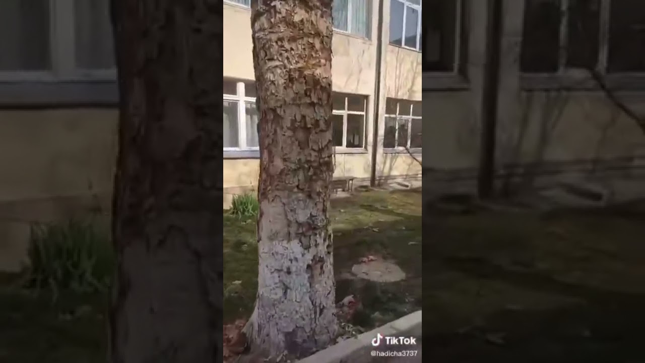 152 школа яшнабадский район в ужасном состоянии 🤯