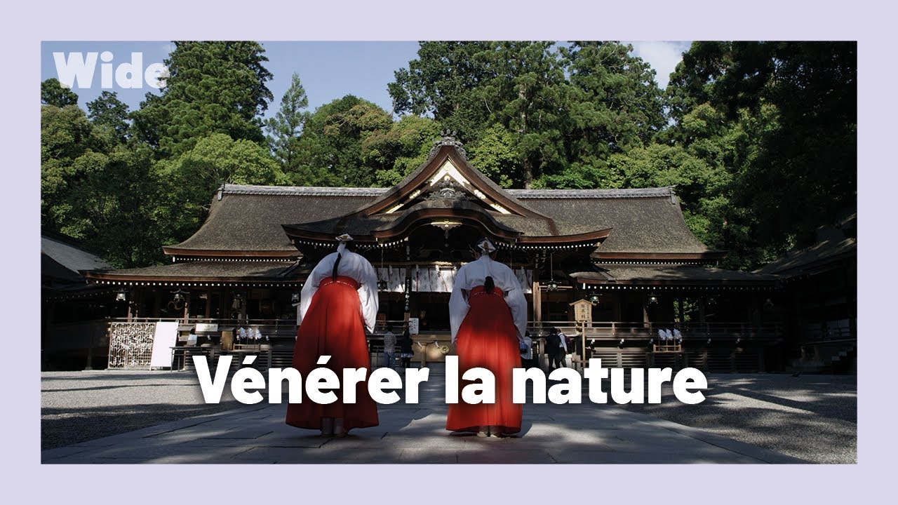 Spiritualité japonaise : Un lien indéfectible avec la nature I WIDE