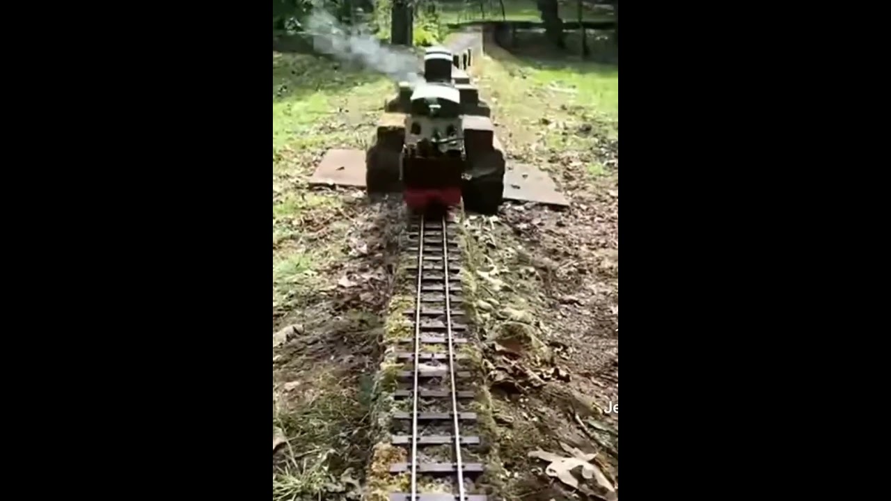 MODELO DE TREN, @LACEIBATVHN