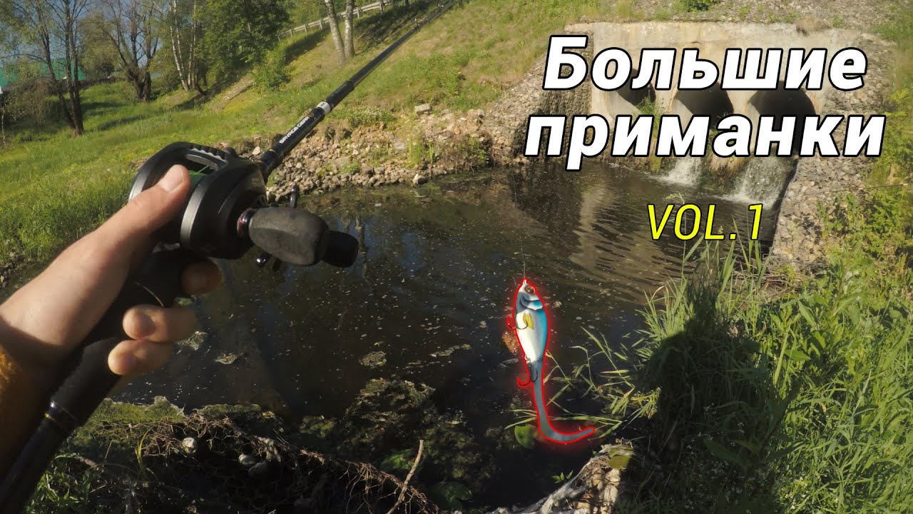 ВОЗЛЕ ДОМА НА БОЛЬШИЕ ПРИМАНКИ | ЧТО ПОЙМАЕМ? ЛОВЛЯ ЩУКИ НА ДЖЕРКИ