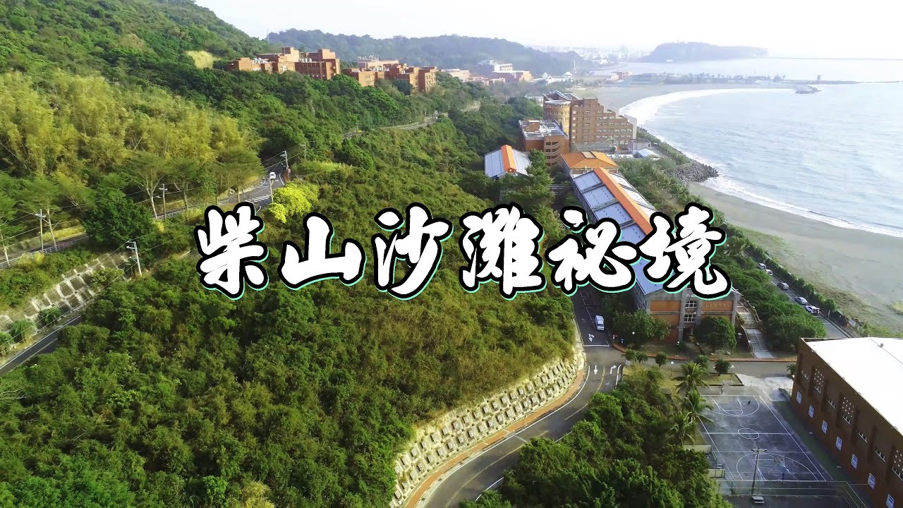 西子灣沙灘秘境 猴群遷移 中山大學文學院