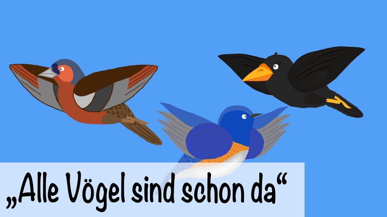 🎵 Alle Vögel sind schon da - Kinderlieder deutsch - Frühlingslieder | muenchenmedia