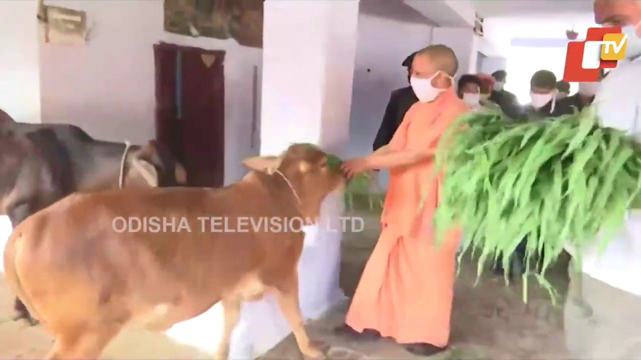 UP CM Yogi Adityanath Offers Puja At Devi Patan Temple On First Day Of Navratri