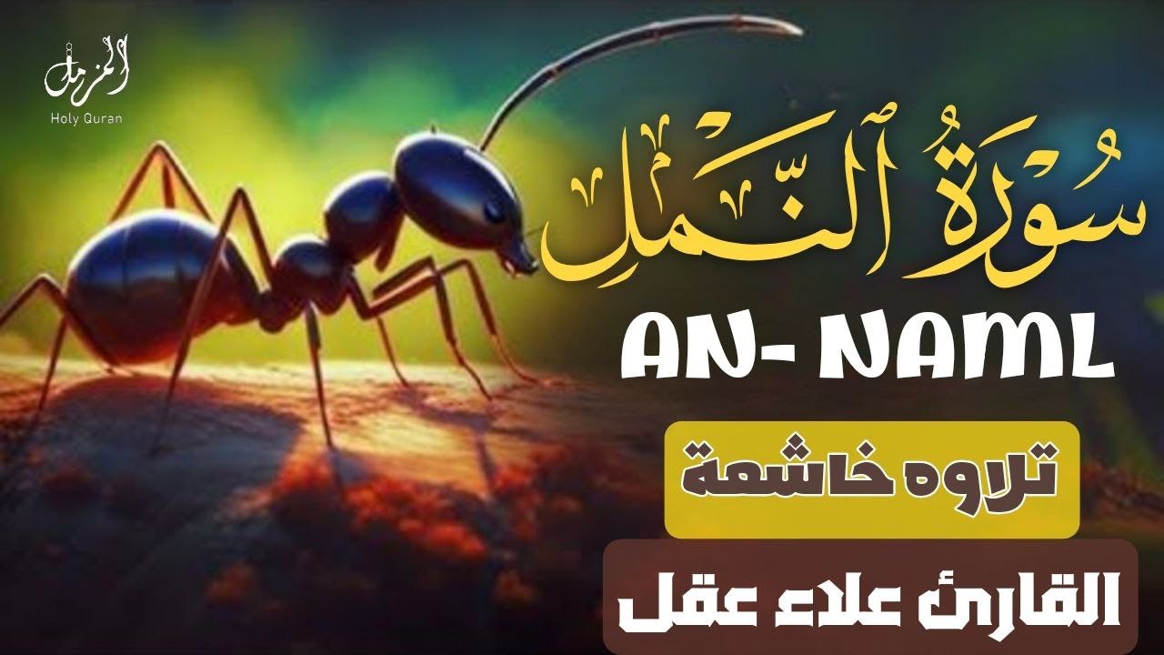 سورة النمل🐜 كاملة تلاوة هادئة 😴 - علاء عقل Sourate An-Naml - Récitation  Alaa Aql Relaxante l