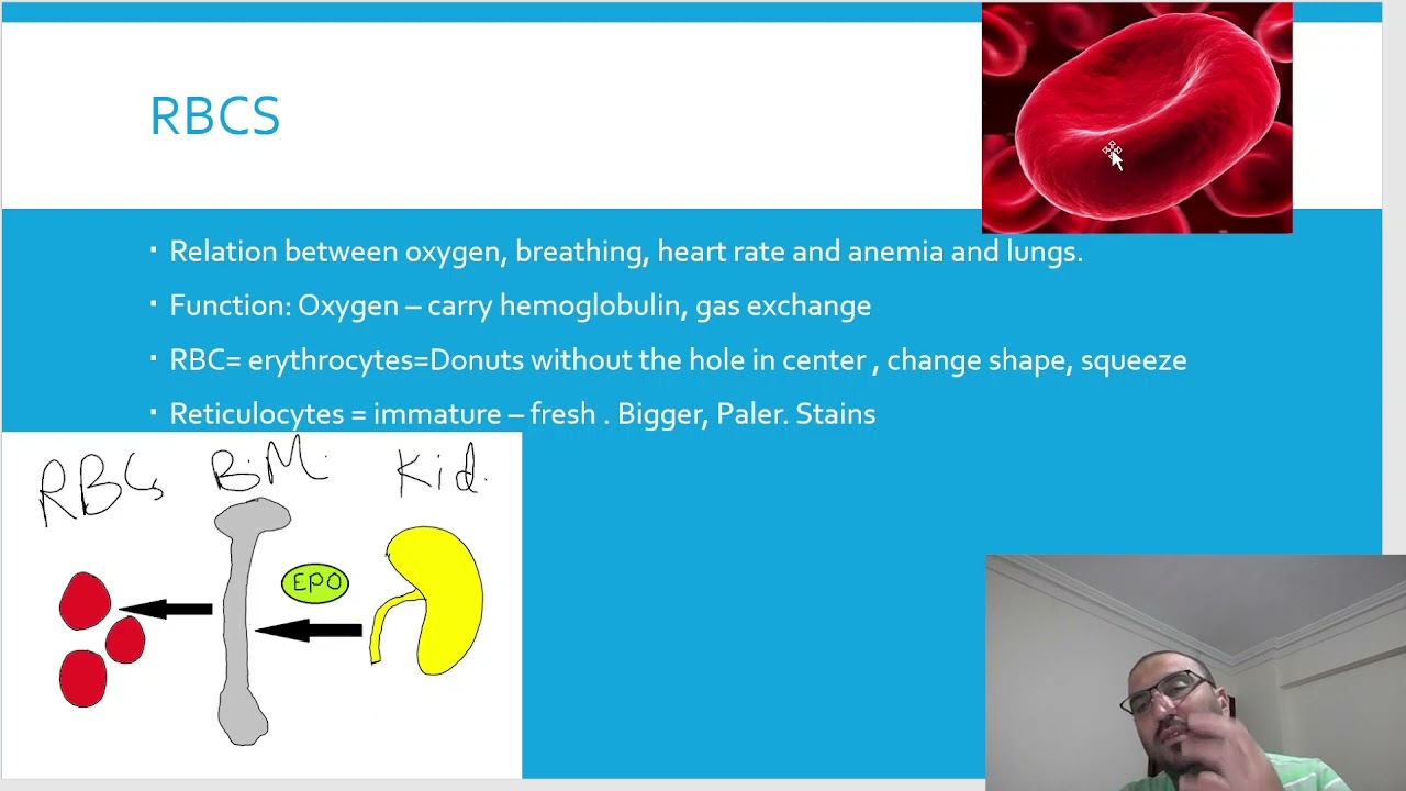 Lab diagnostics 6/15:Canine & feline CBC 2nd/3 video  تحليل صورة الدم حيوانات أليفة جزء2