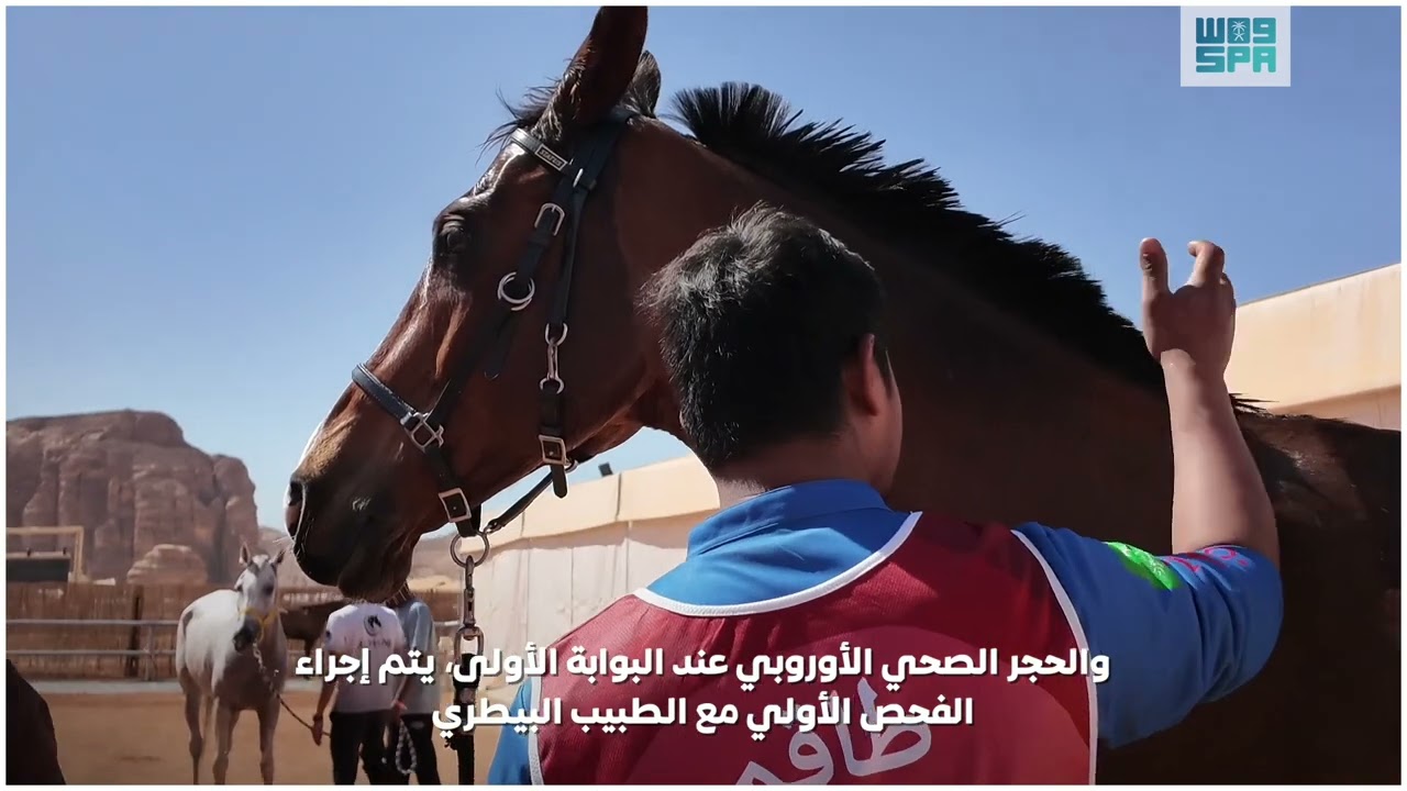 مناطق الحجر في إسطبلات بطولة الفرسان للقدرة والتحمّل في العُلا: خدمات متكاملة وآليات دقيقة. #واس
